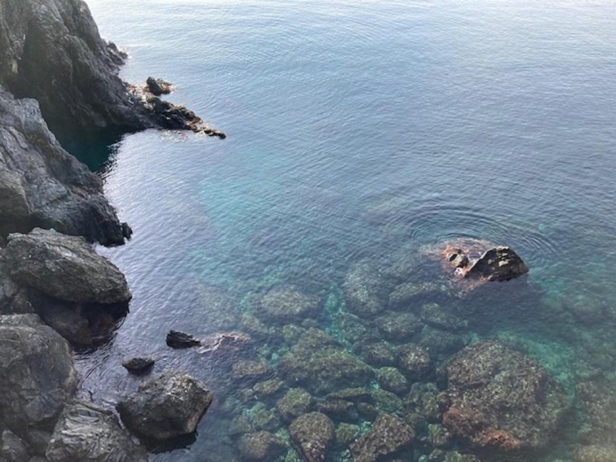 Apartamento La Gemma Di Monterosso, In Centro Vicino Al Mare Monterosso al Mare Exterior foto